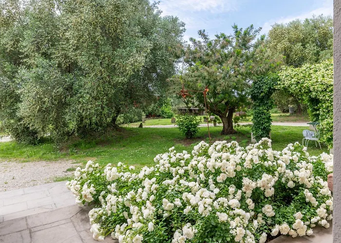 Cantagrillo Boutique ファームステイ